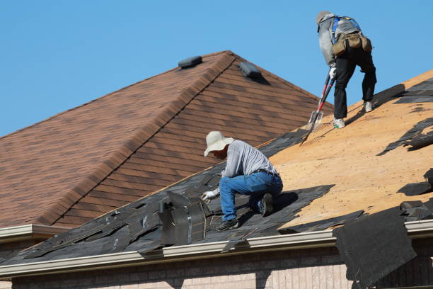 Best Emergency Roof Repair Services  in Bridgeport, WV