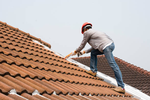 Best Skylight Installation and Repair  in Bridgeport, WV