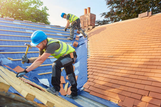 Best Roofing for New Construction  in Bridgeport, WV